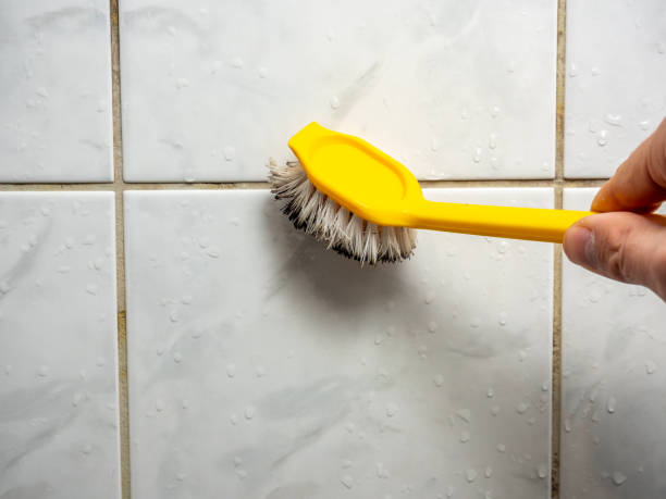 Best Mold Testing  in North Druid Hills, GA